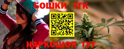 соль ск Можга